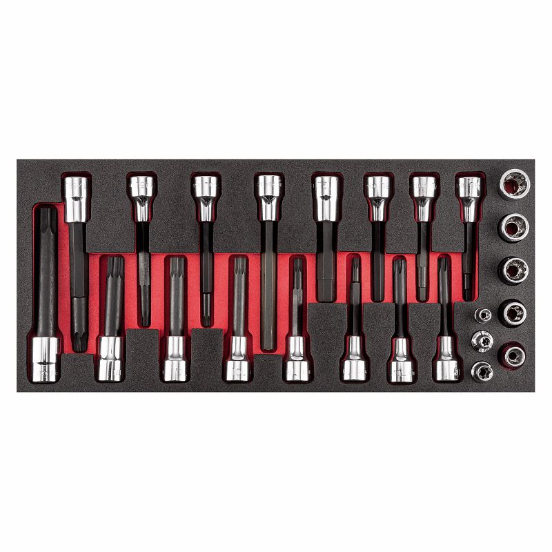 USAG 519 M233 C24 ASSORTIMENTO BUSS. RIBE E TORX CON MODULO IN SPUGNA  24 PEZZI